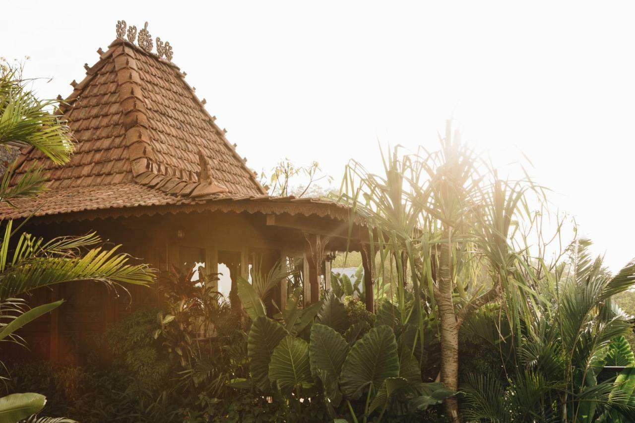 White Tortoise Eco Villa'S Улувату Экстерьер фото